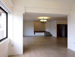 The Cairnhill (D9), Condominium #597331891